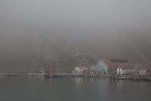 Stromness, South Georgia Island 281.jpg